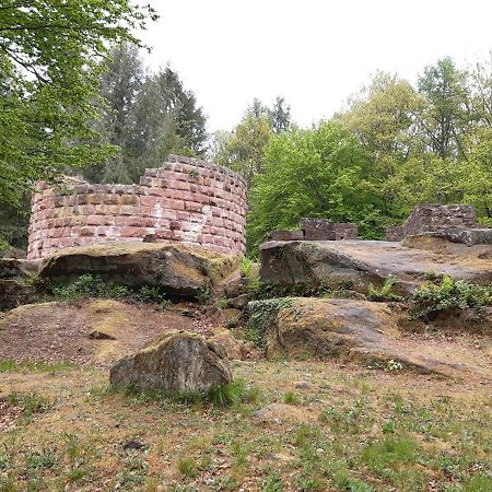 Fewo Jule Thaleischweiler-Froschen Exterior photo