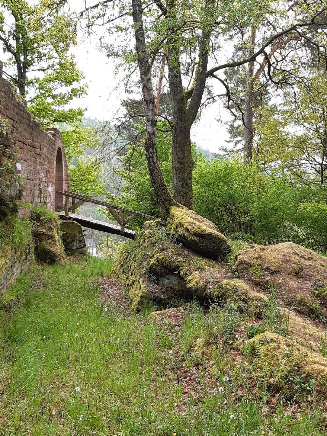 Fewo Jule Thaleischweiler-Froschen Exterior photo