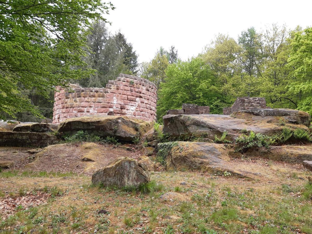 Fewo Jule Thaleischweiler-Froschen Exterior photo